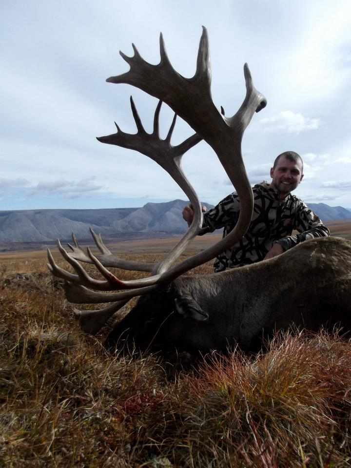 Caribou